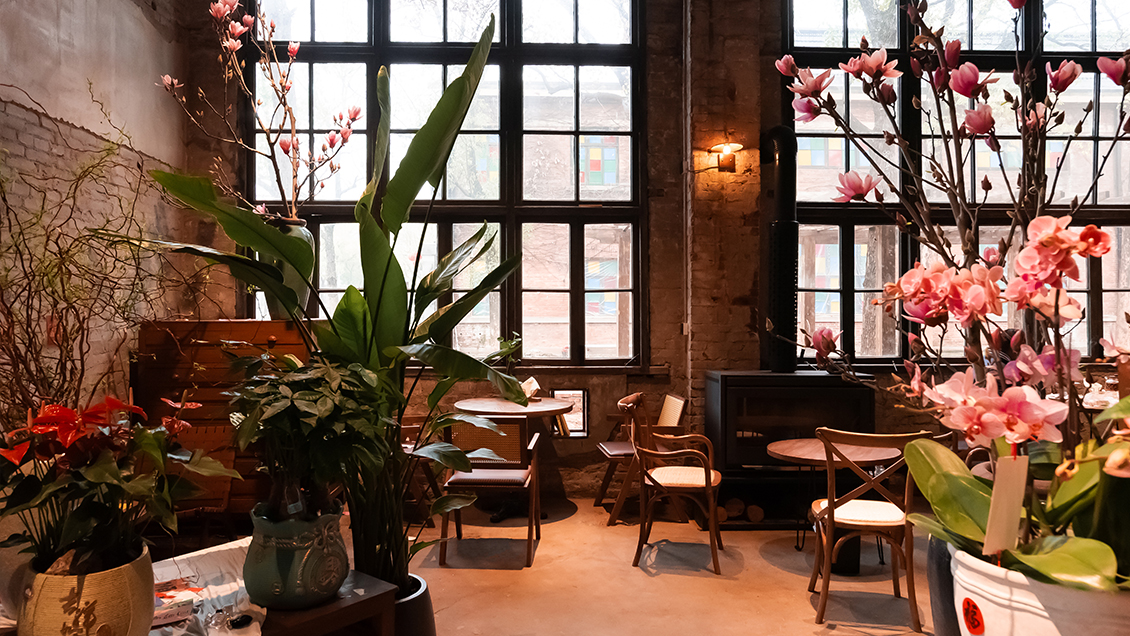 Garden in The Brick Factory  - Cover Image